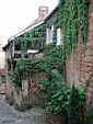 Dscn24691.jpg: La verdure au coeur du village